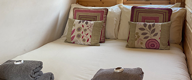 bed