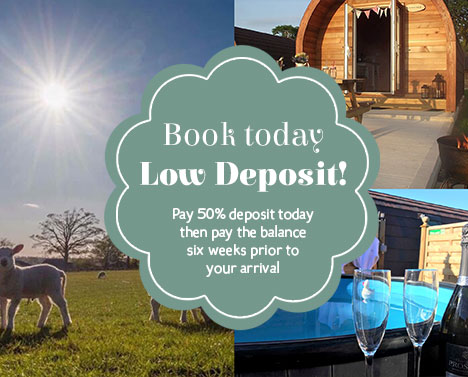 pay a 50% deposit