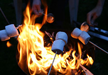 fire pit