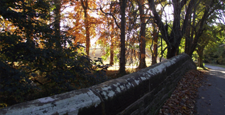 nearby walk